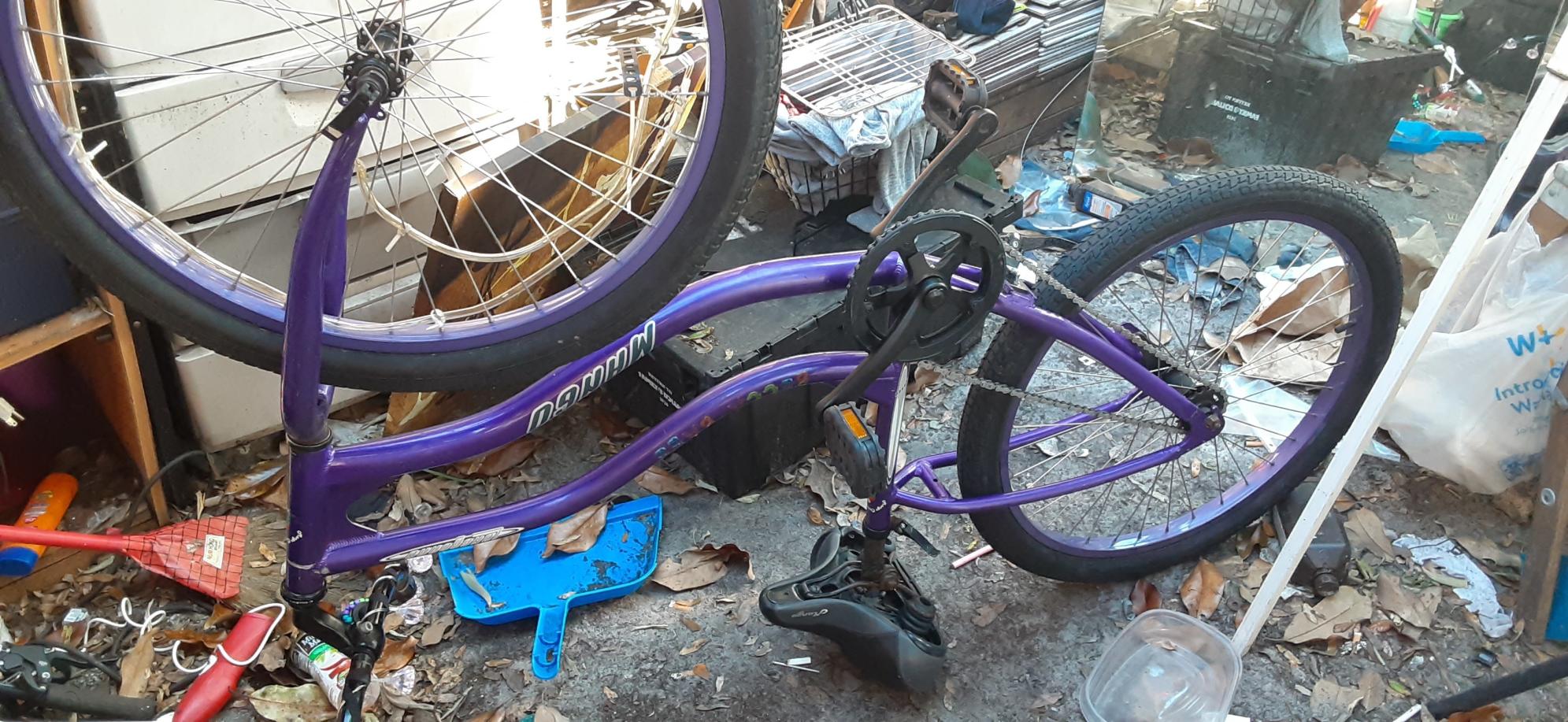 2018 Mango Female longboard; Purple