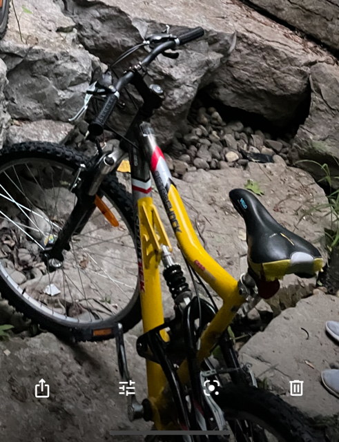 2009 Sport-Tek After shock Yellow or Gold