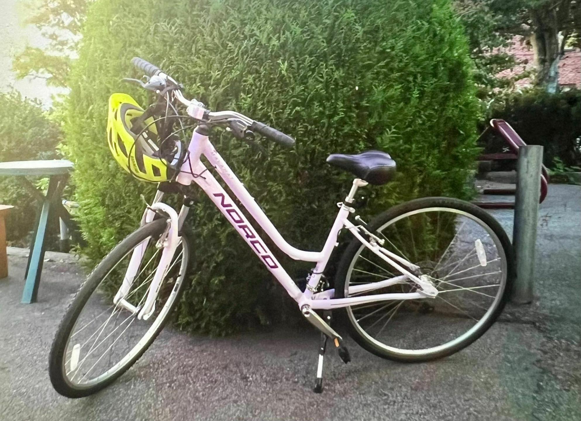 2015 Norco Bikes Purple