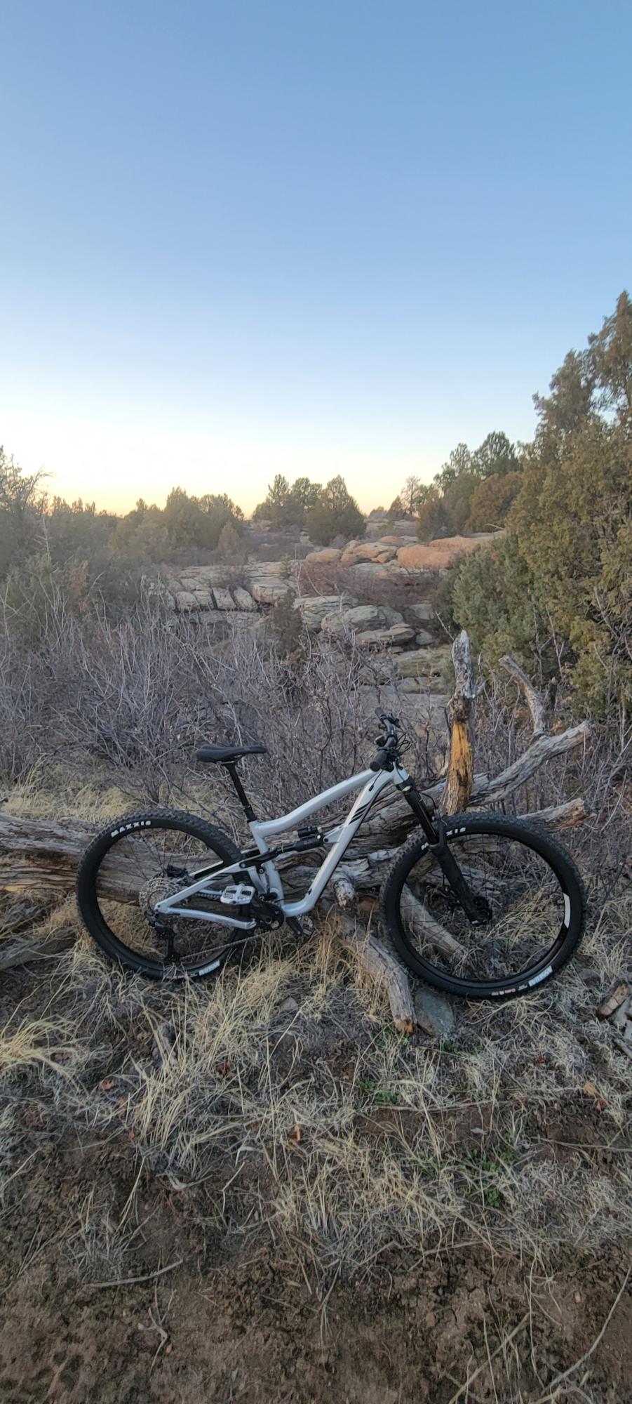 2022 Ibis Ripmo Silver, gray or bare metal