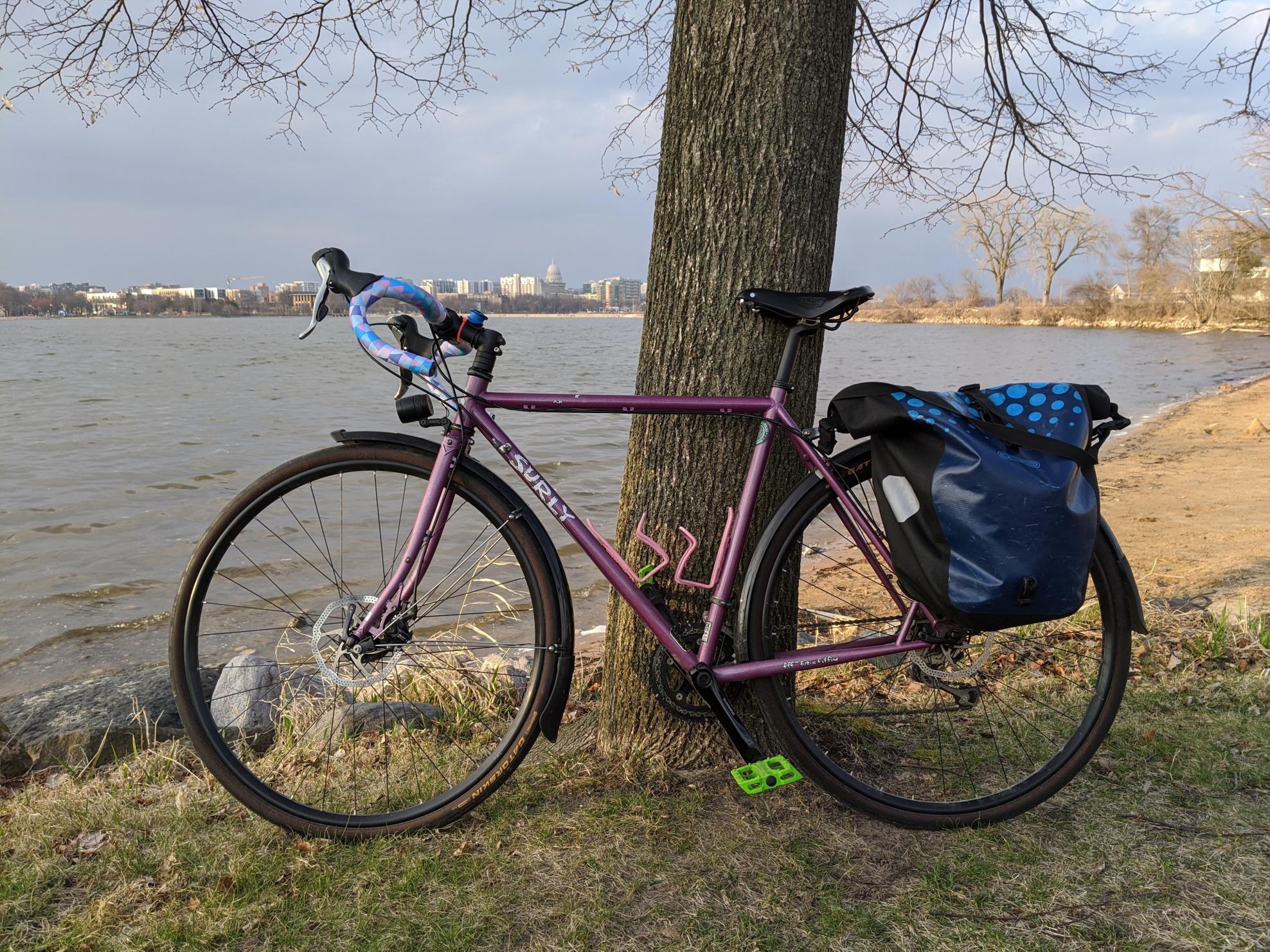 2014 Surly Straggler Purple