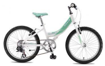 Fuji Sandblaster Teal