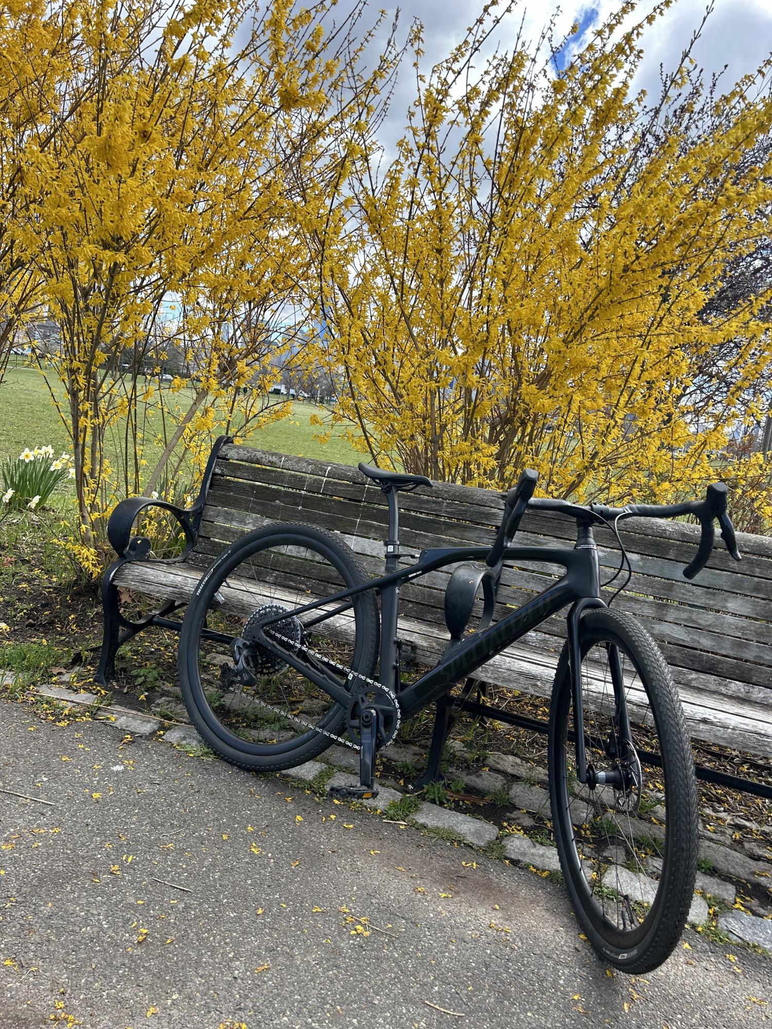 2023 Specialized Diverge STR Black