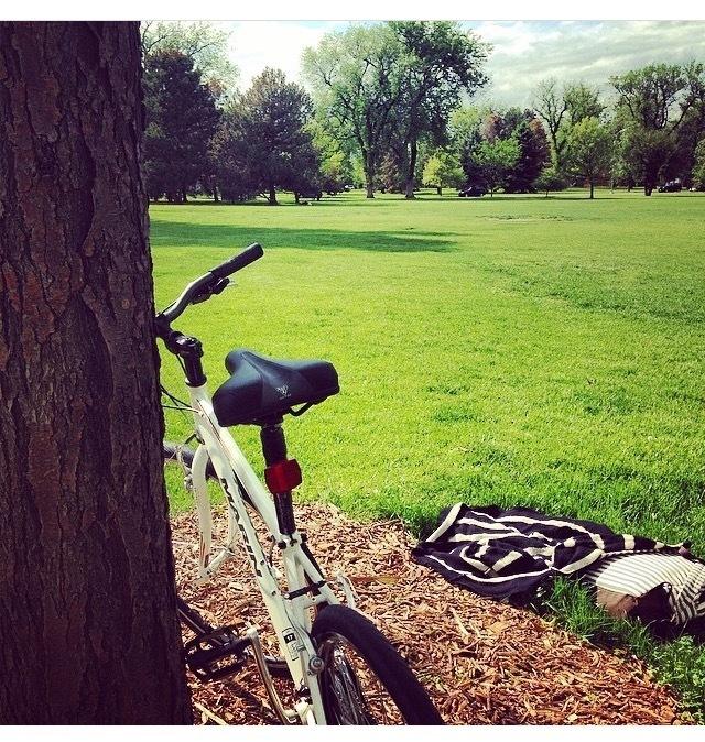 2011 Marin Bikes White