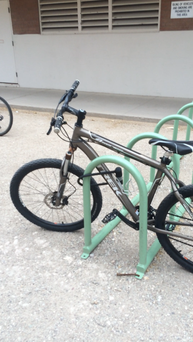 Trek 4 series  Yellow or Gold
