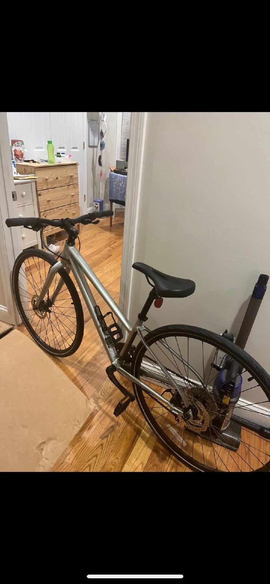 2020 Cannondale Silver, gray or bare metal