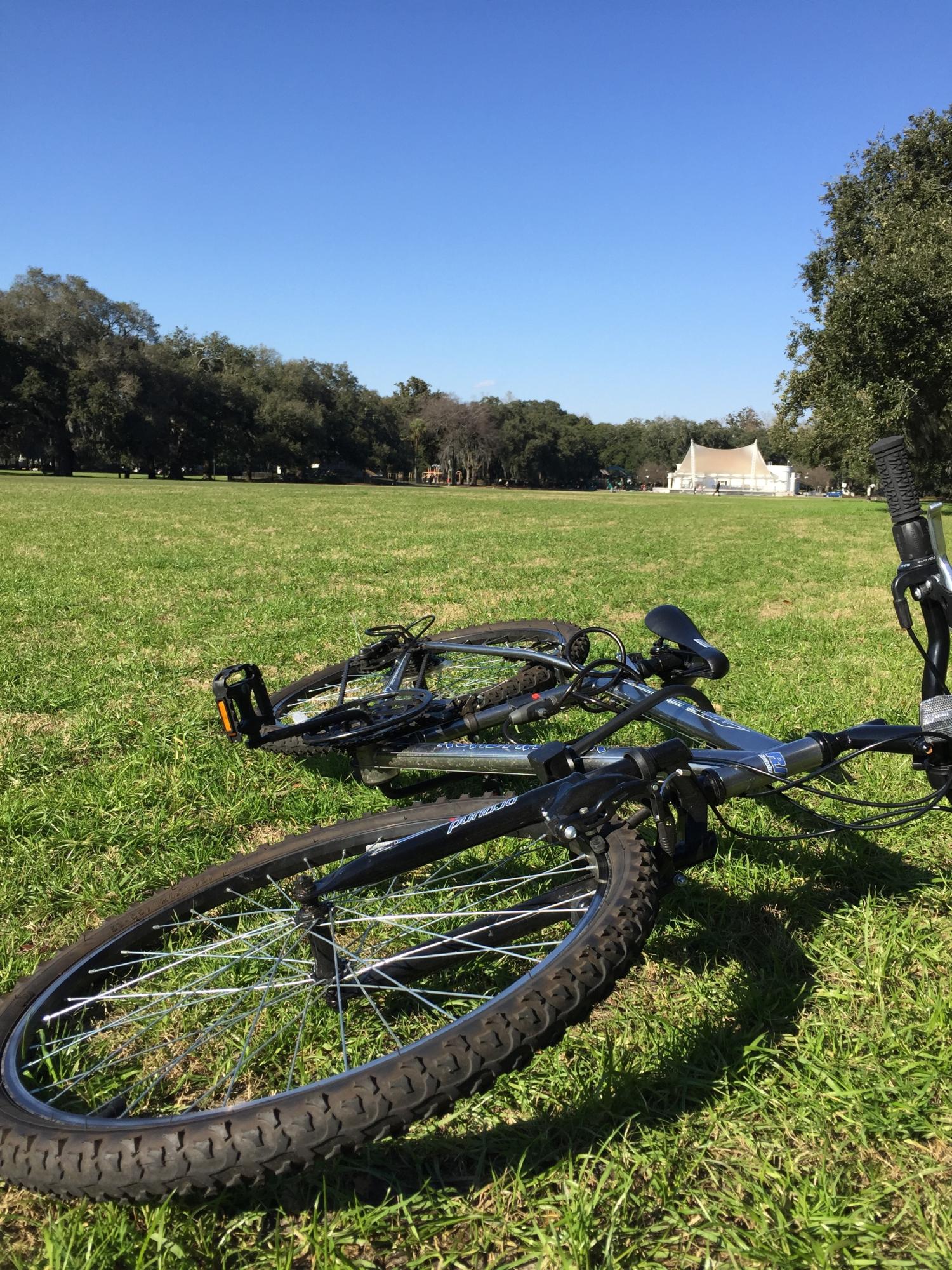 Roadmaster Silver or Gray and Black