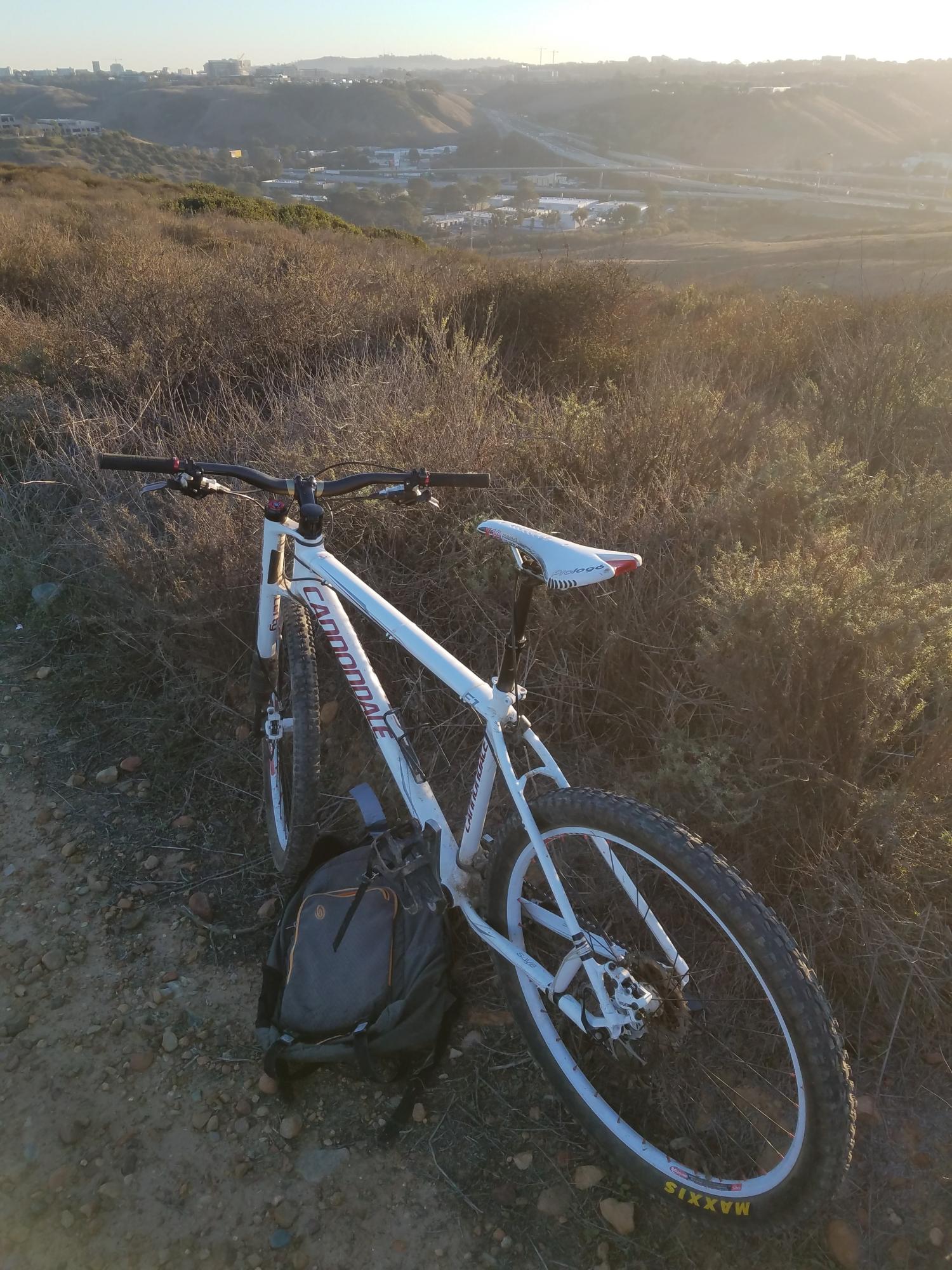 2010 Cannondale F1 White