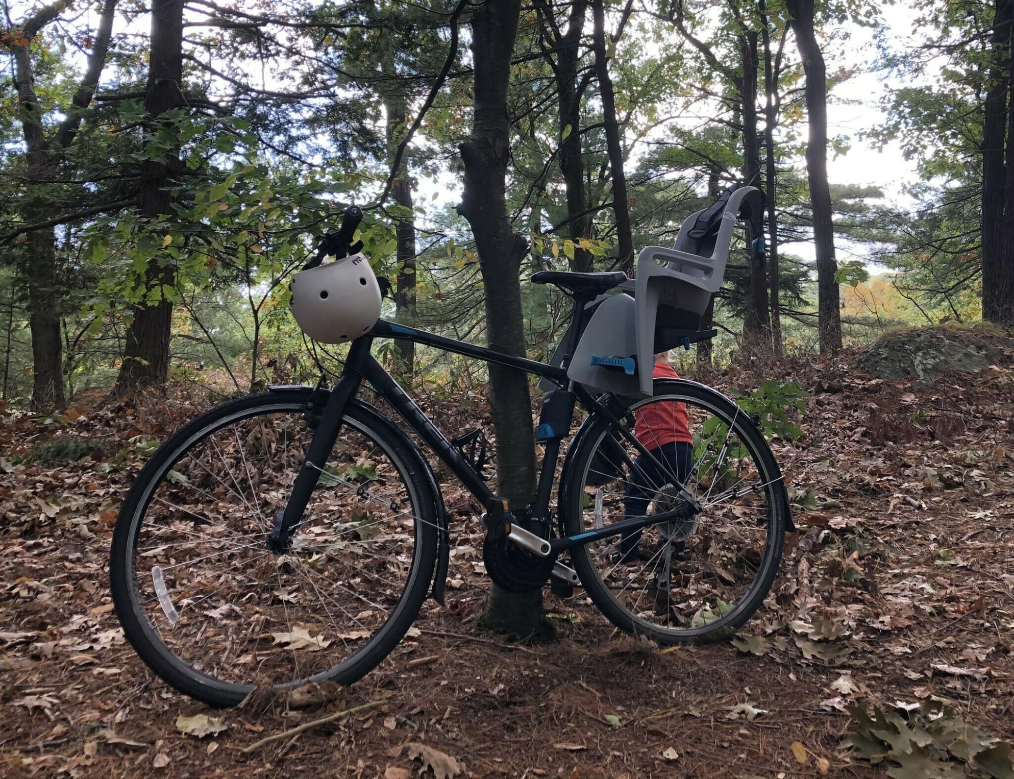 2019 Trek Hybrid FX 2 Black, White, and Blue