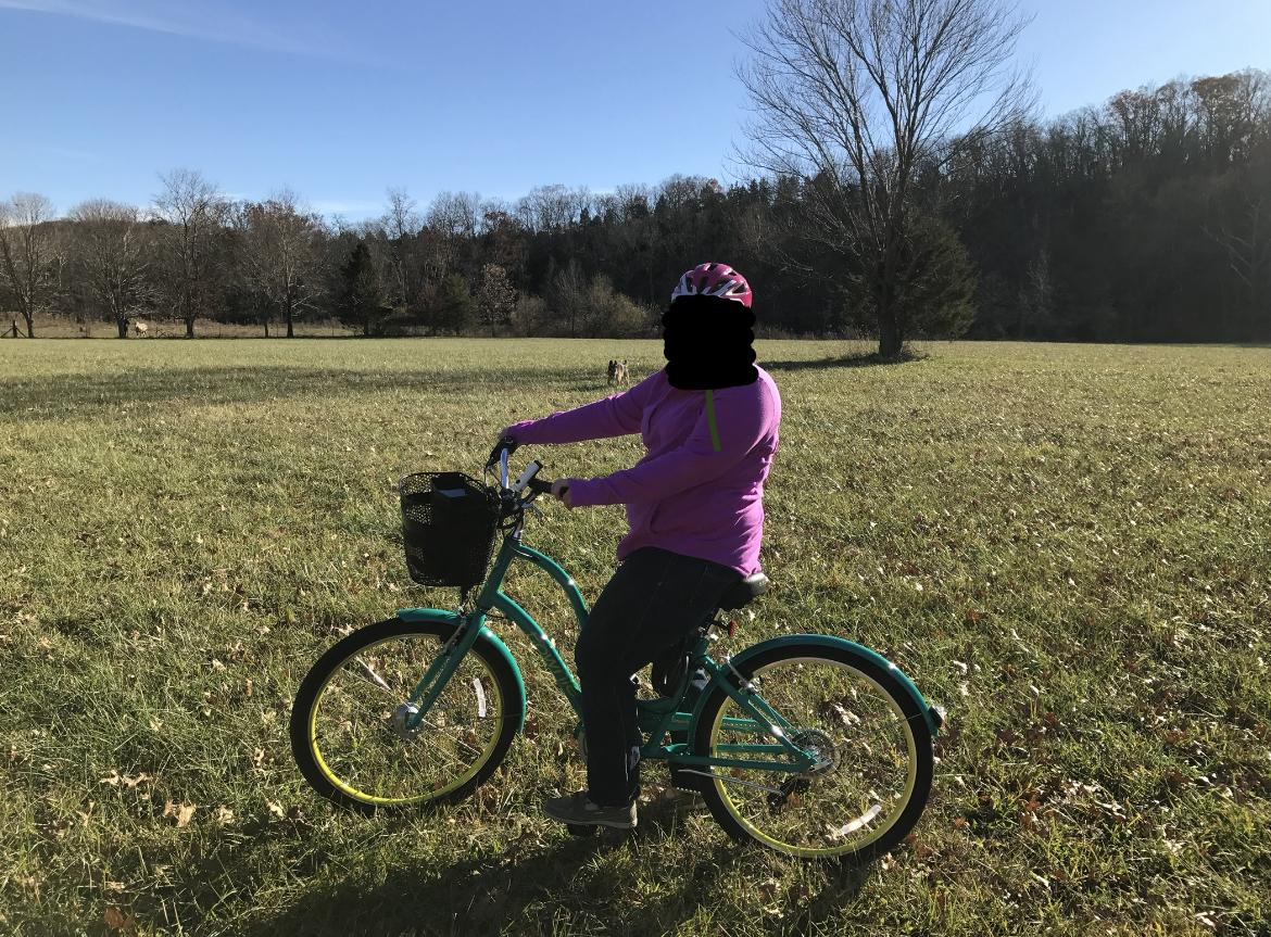 2017 Trek Green