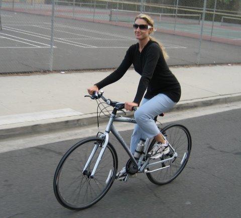 2008 Trek 7.3 FX  Black