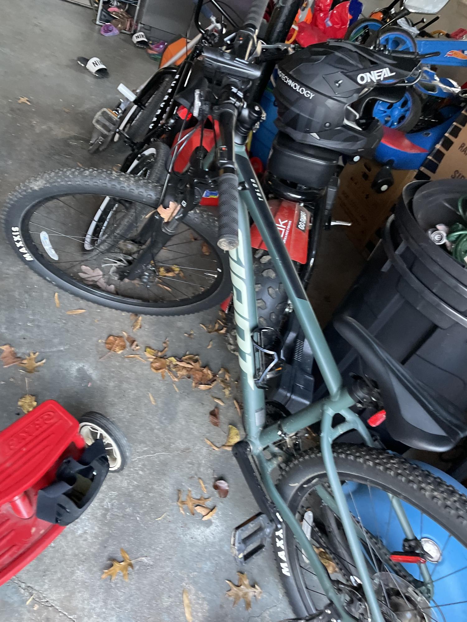 2021 Giant Mountain Bike Green