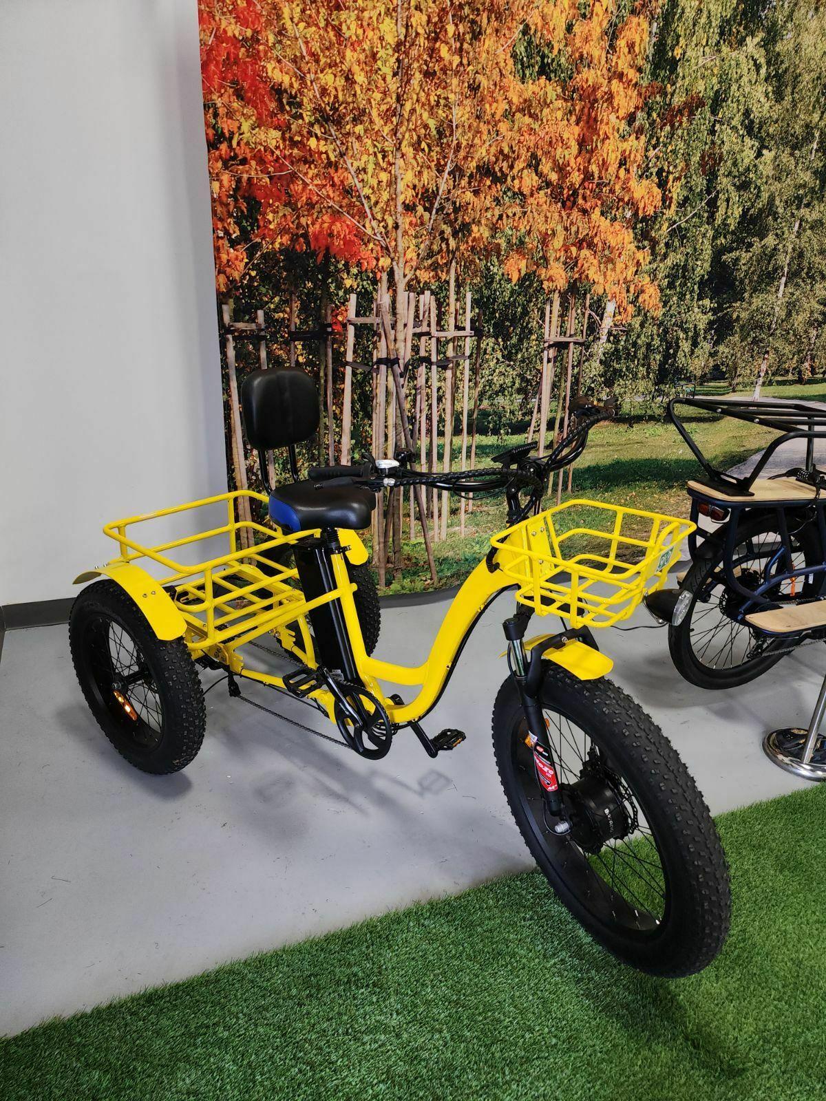 2023 Ebike Trike cargo tricycle (front storage) Yellow or Gold