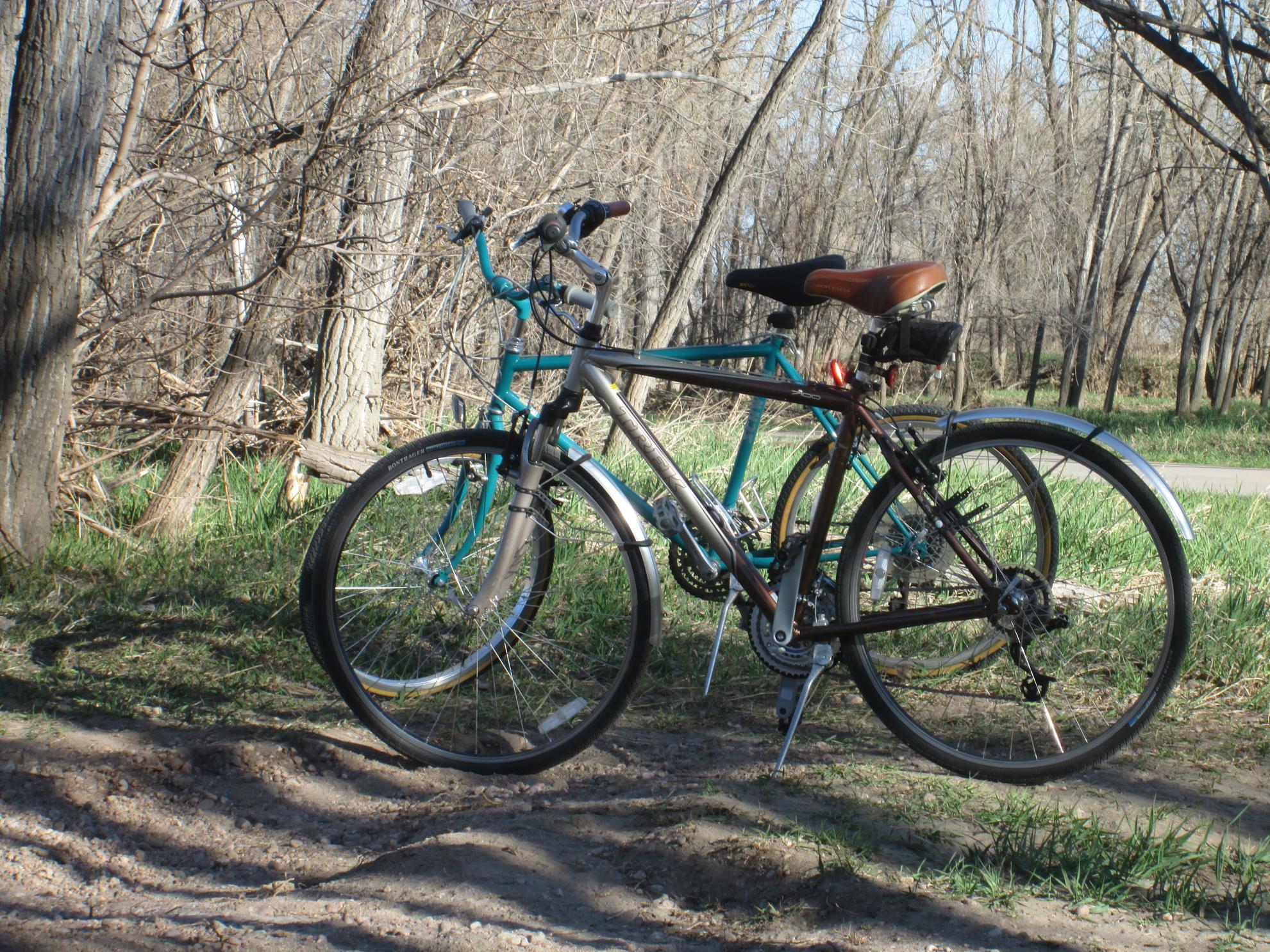 2008 Trek 7100 Brown