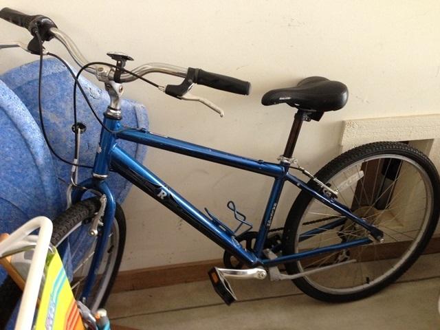 2007 Raleigh Adventure  Blue