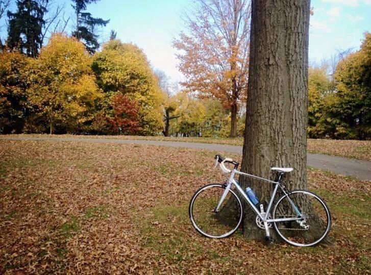 2013 Giant Avail 5 Silver or Gray