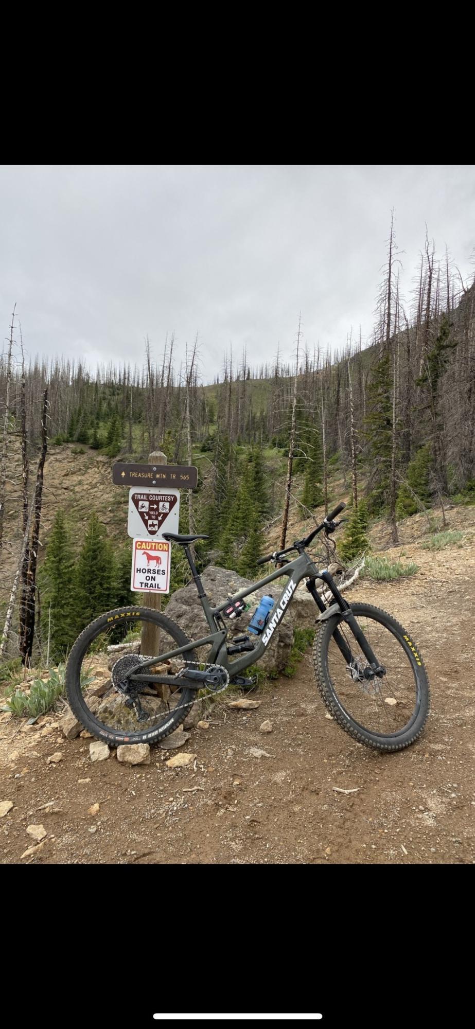 2022 Santa Cruz Bronson Green and White