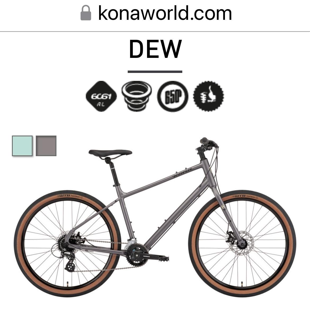 2021 Kona Dew Silver, gray or bare metal