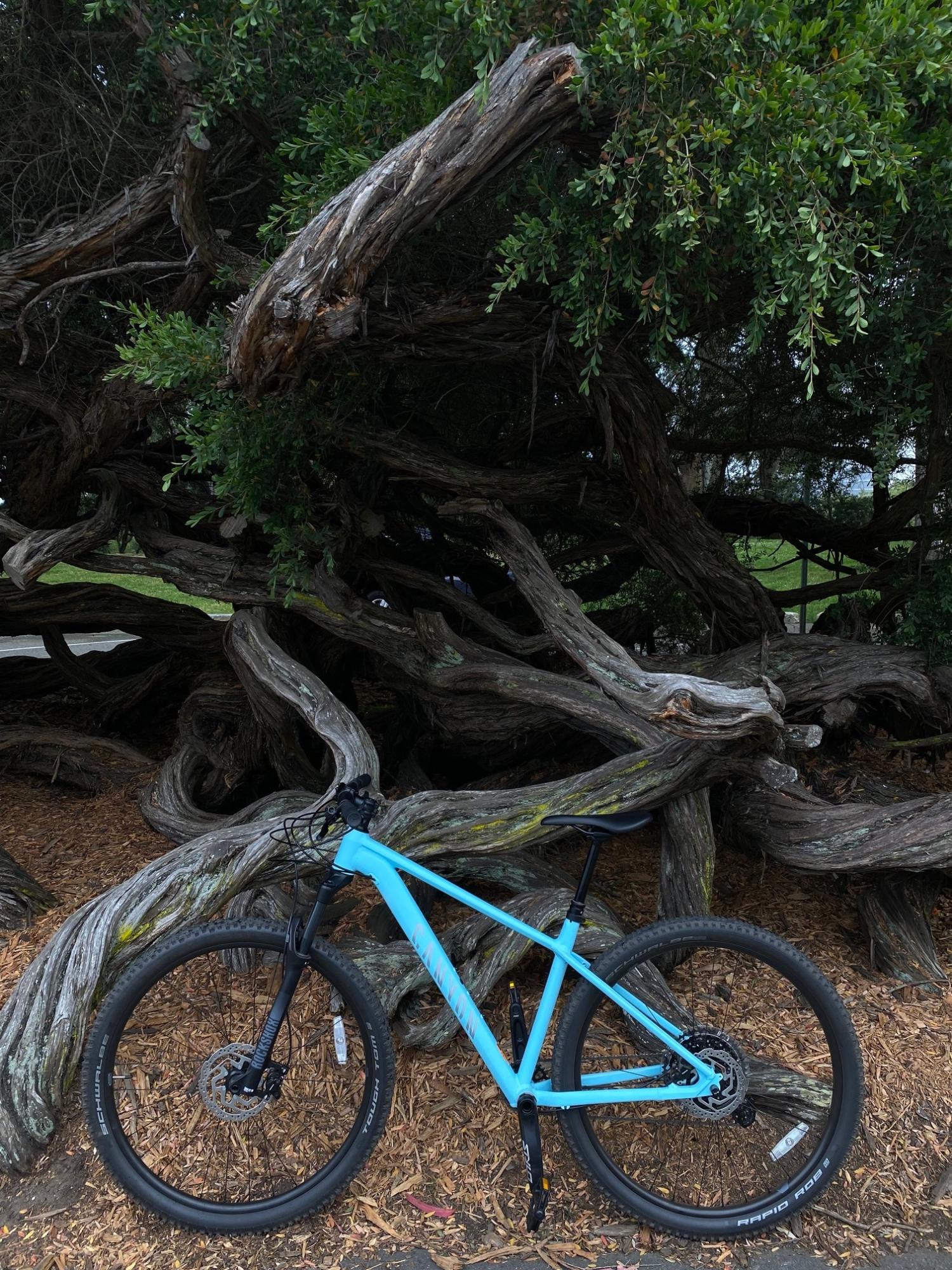 2021 Canyon bicycles Grand Canyon Blue