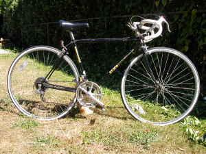 1983 Schwinn World Sport  Black