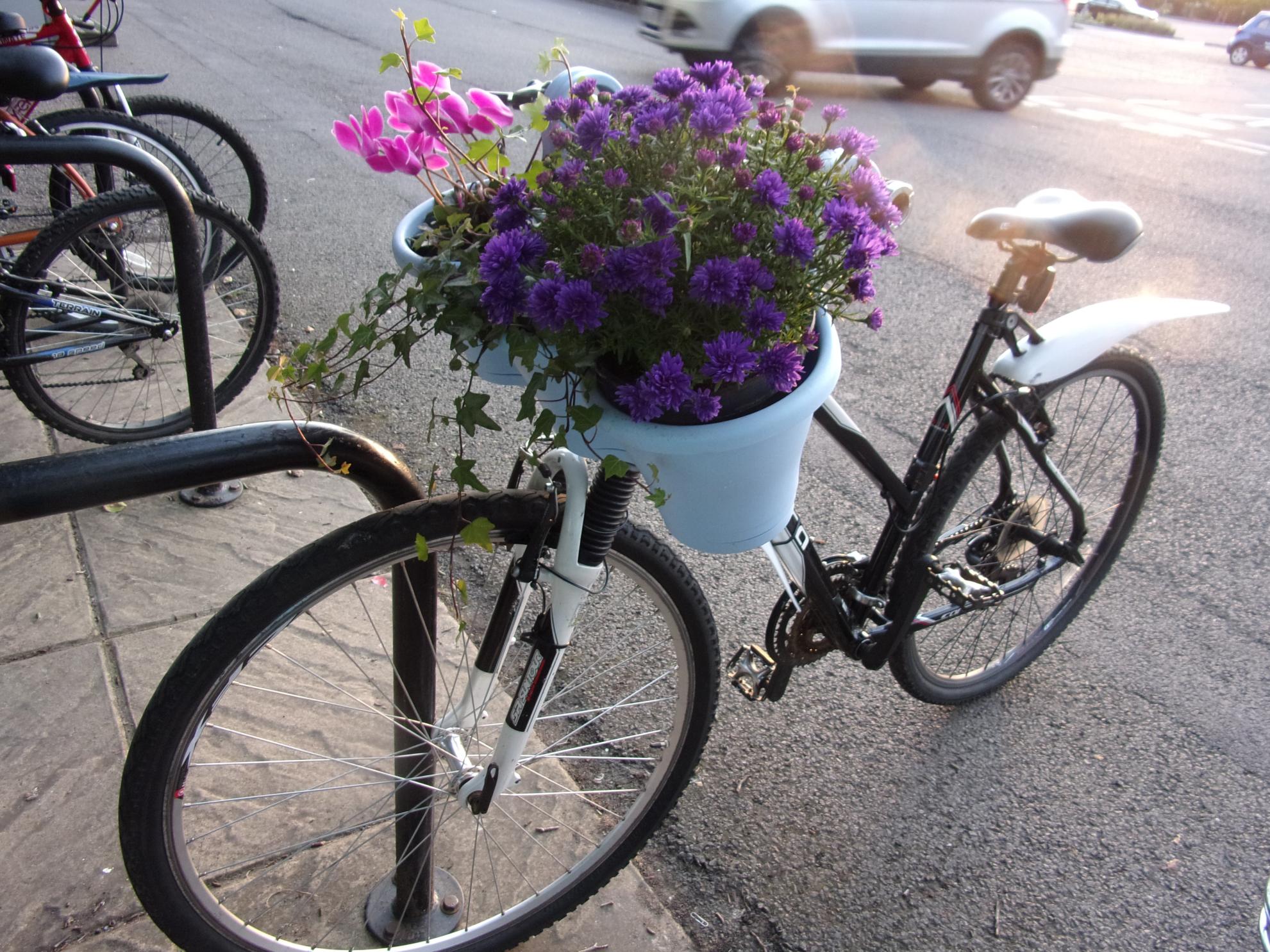 Carrera bicycles Black and White