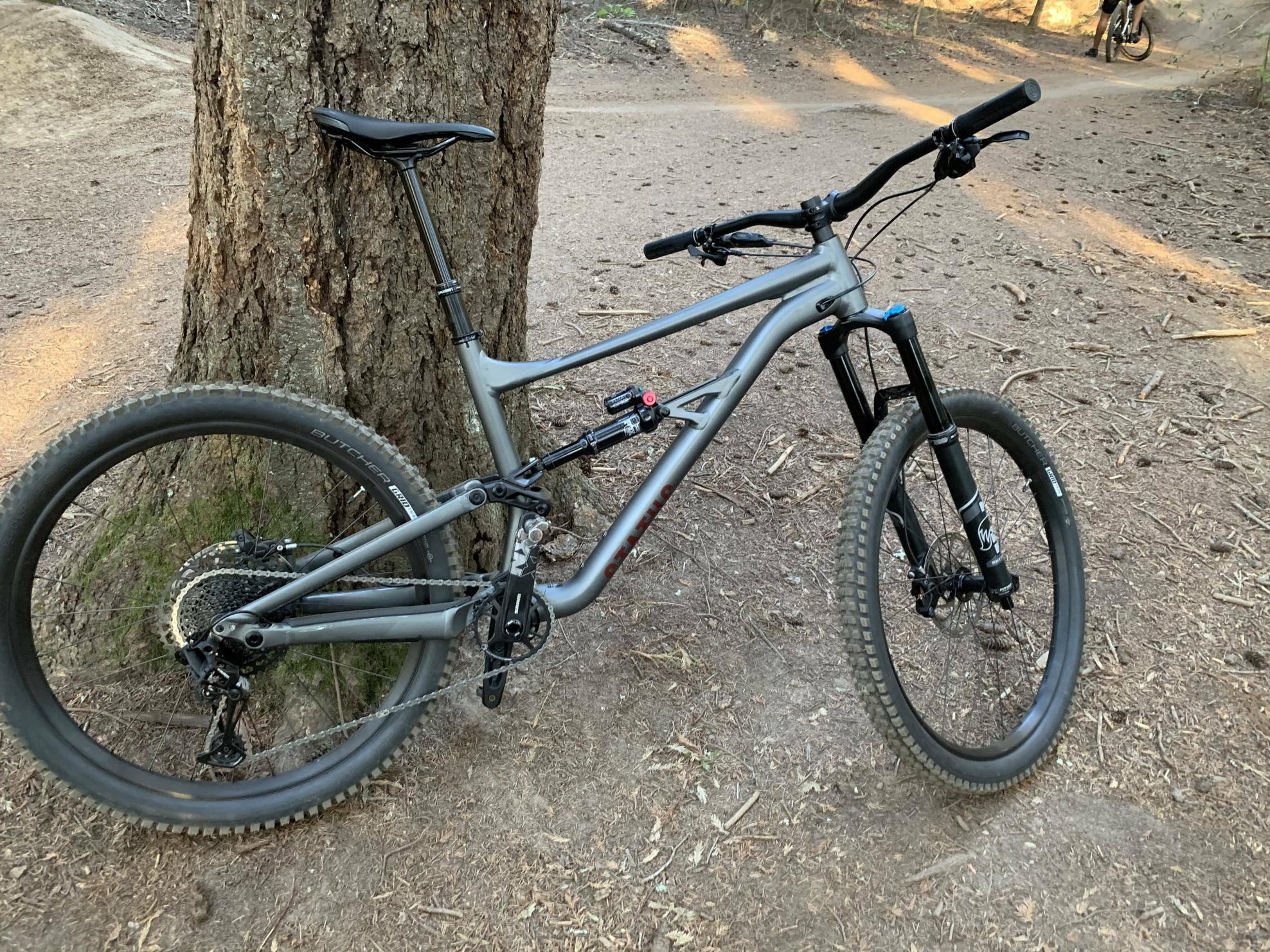 2020 Specialized Status Silver, gray or bare metal