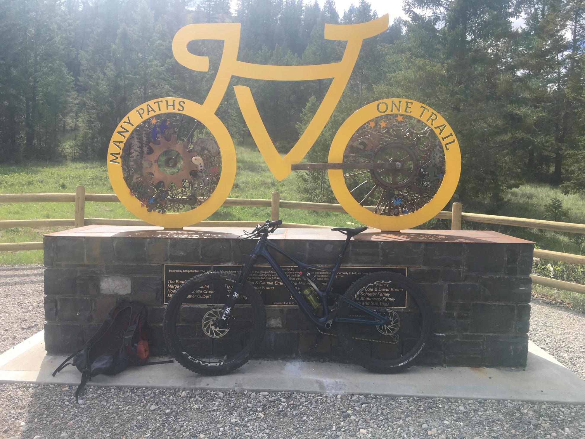 2020 Specialized Specialized Blue