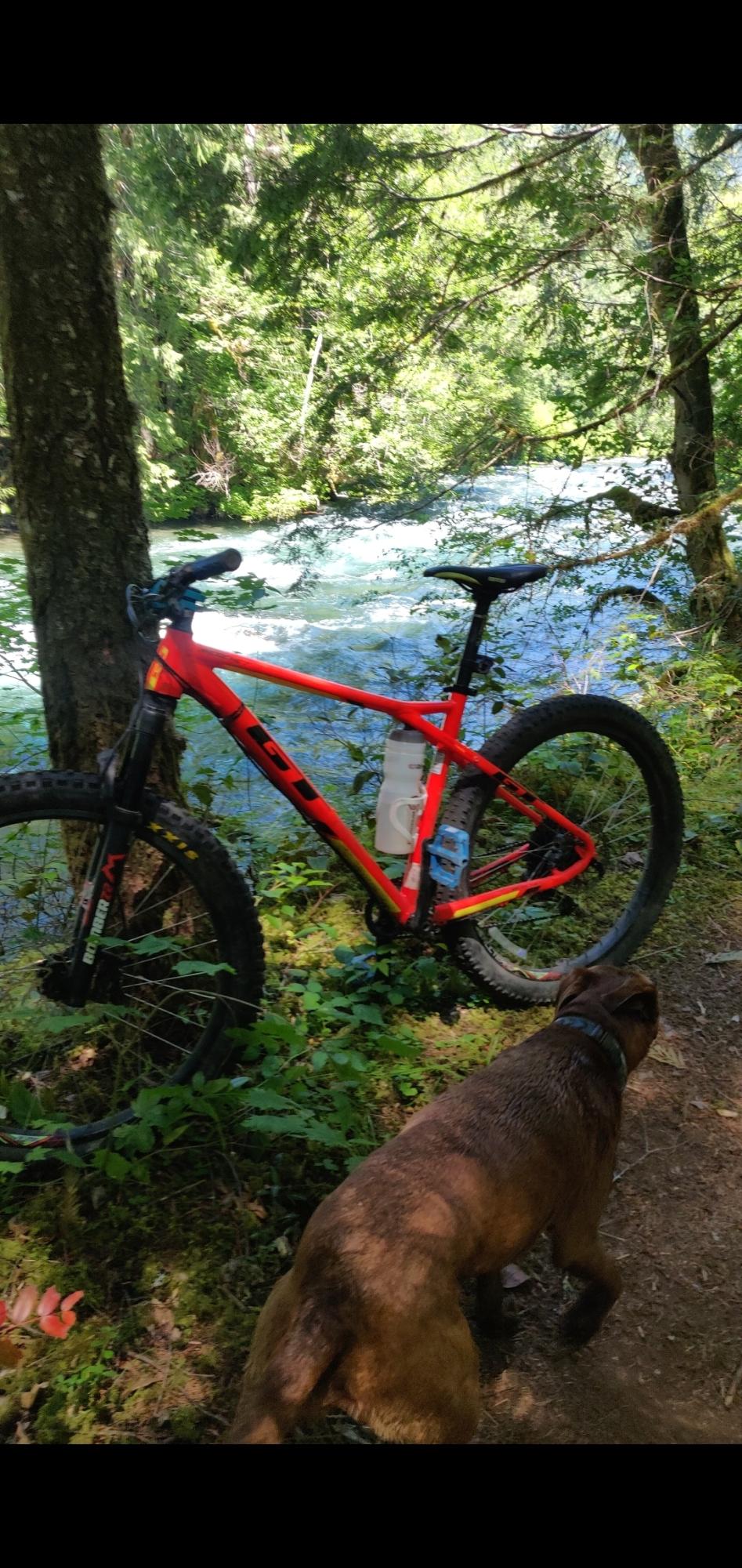 2019 GT Bicycles Avalanche Orange
