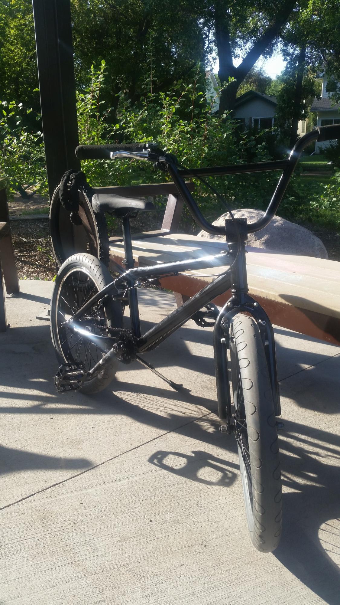 2010 Haro F1C Black