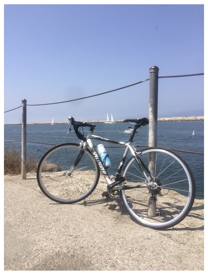 2006 Specialized Roubaix Silver or Gray