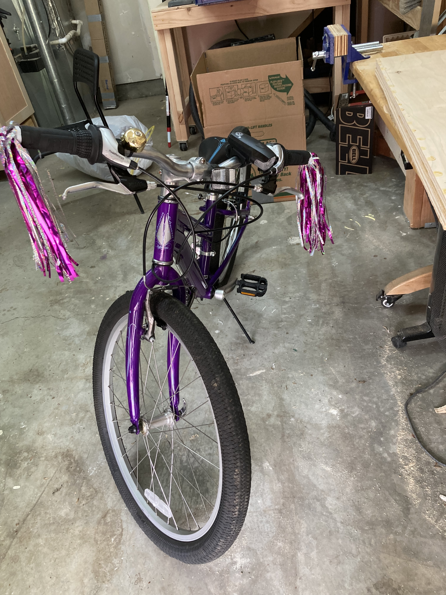 Schwinn Purple
