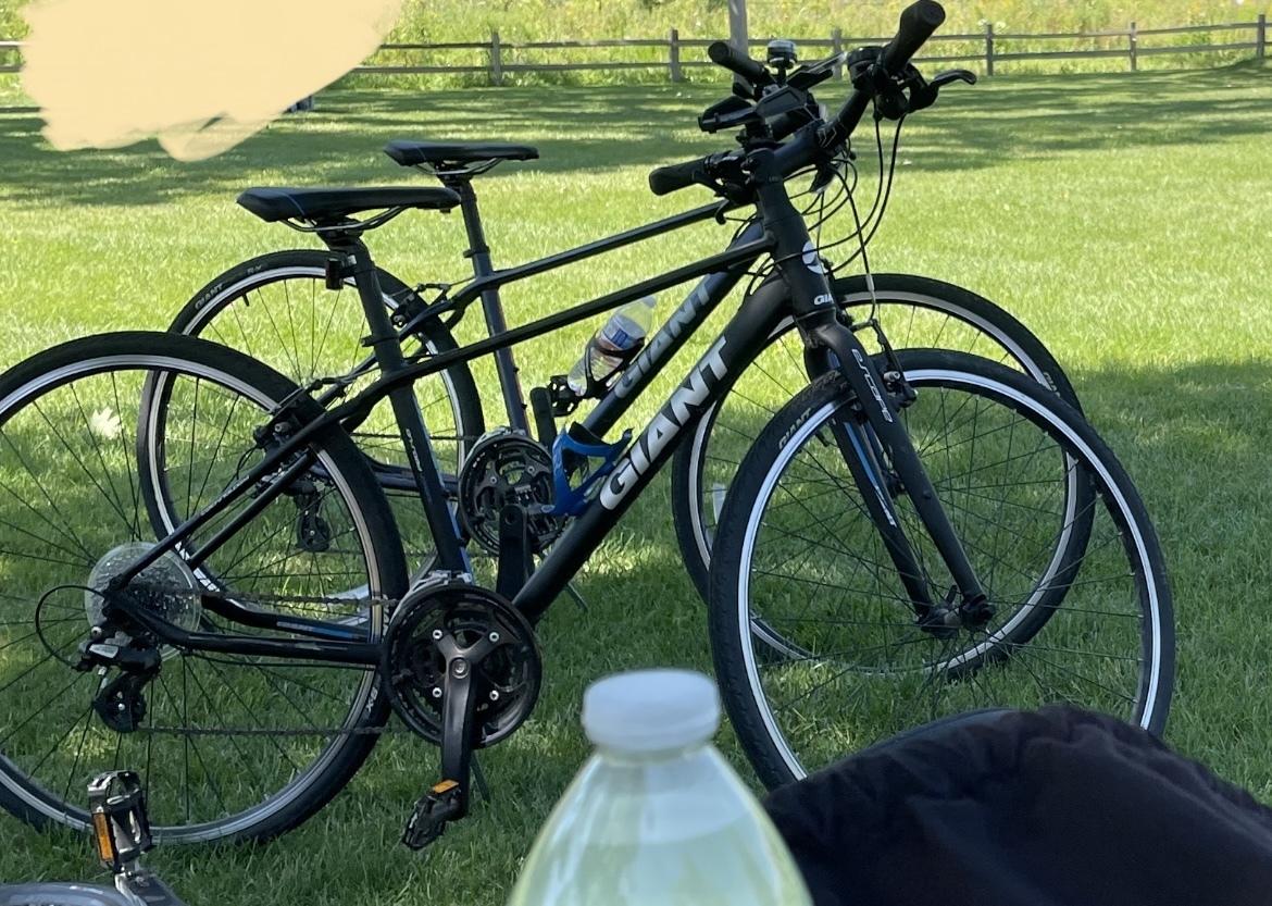 Giant Black and Blue