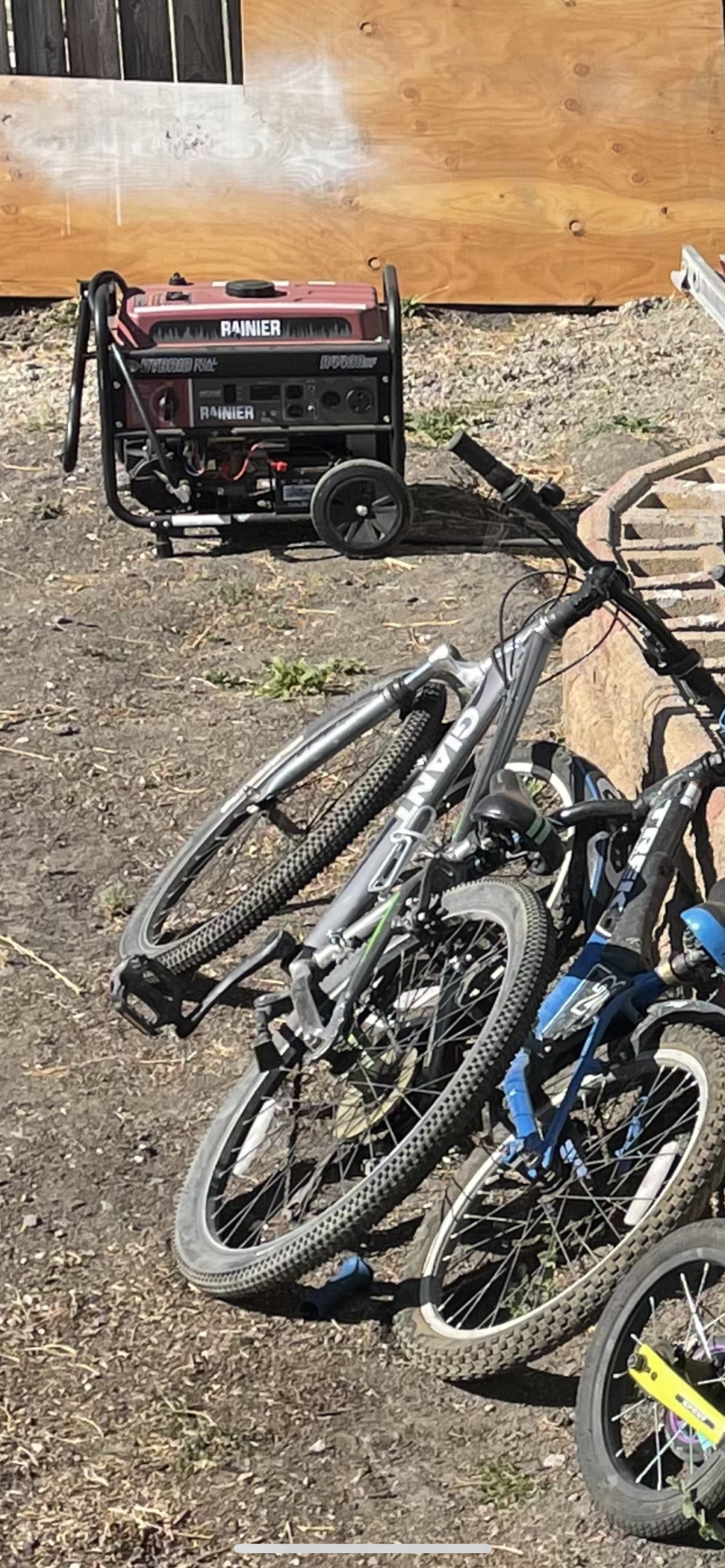 2020 Giant Silver, gray or bare metal