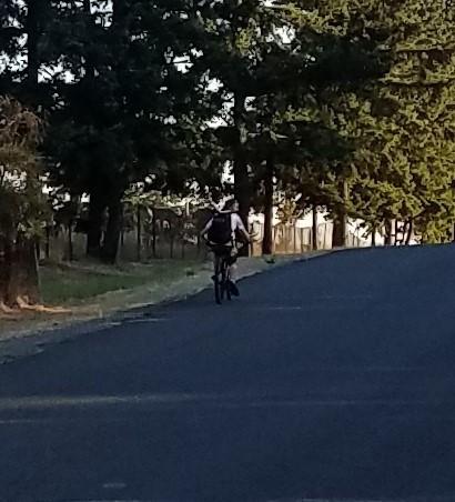 2017 Mongoose mongoose status 2.2 26