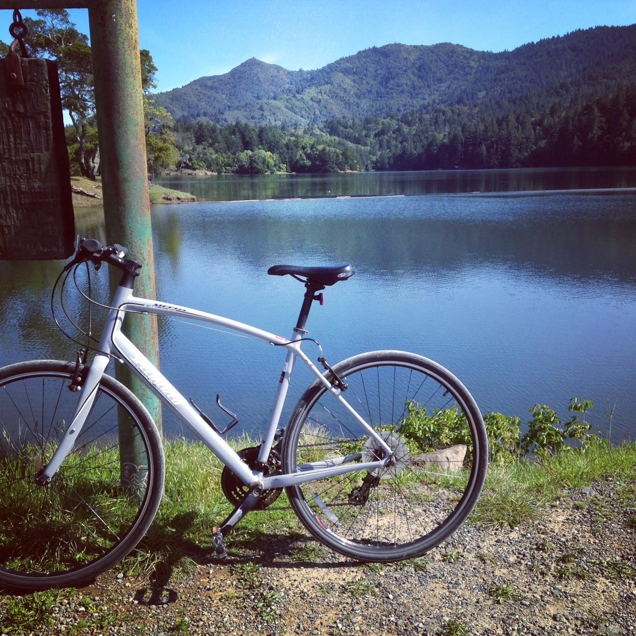 Specialized Silver or Gray