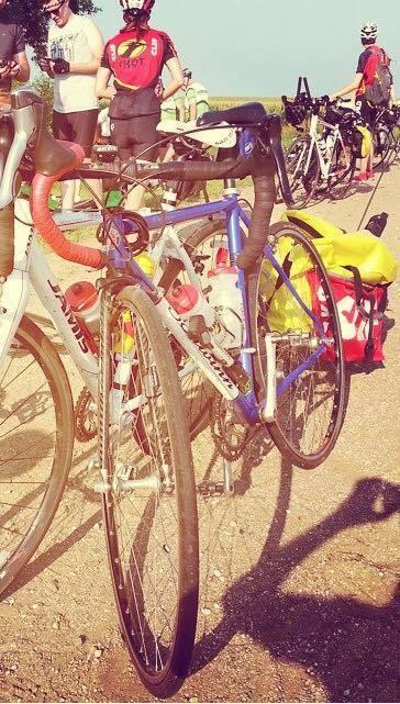 Schwinn Peloton Blue