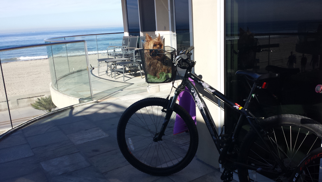 Specialized Myka HT Black