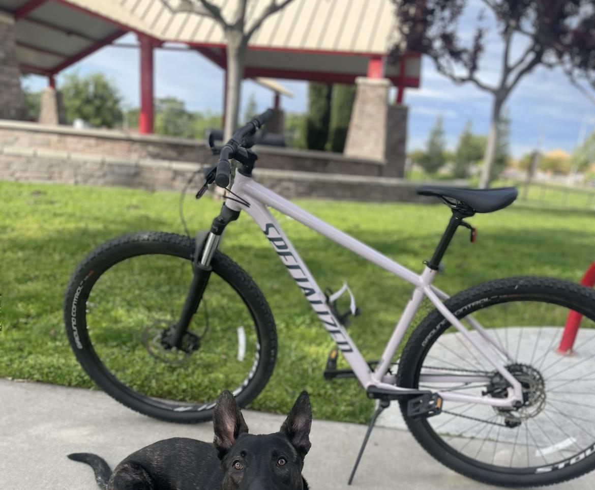 2021 Specialized Rockhopper Comp Pink