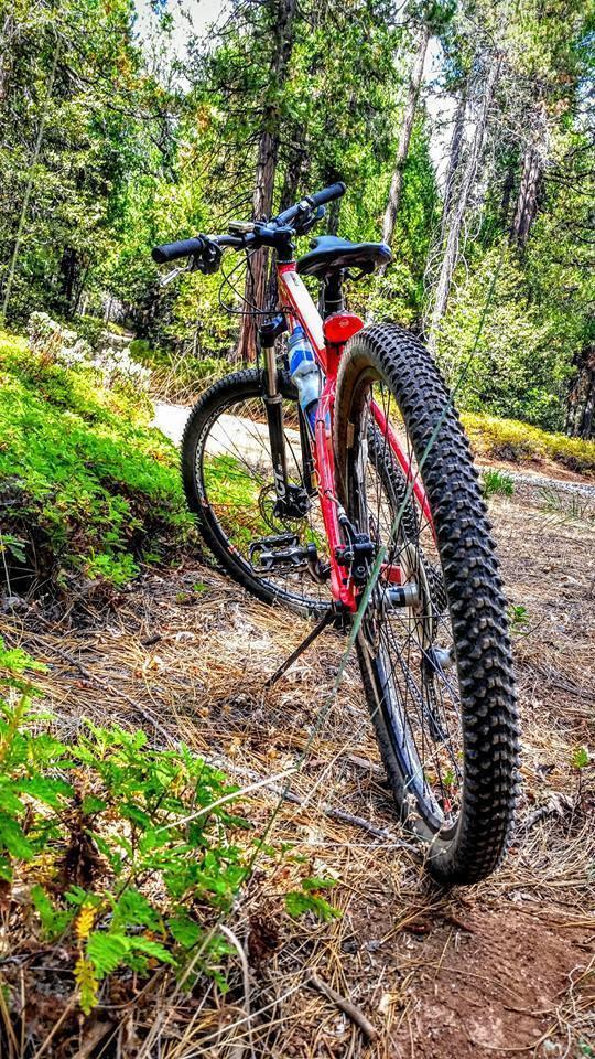 2013 Diamondback Overdrive Red