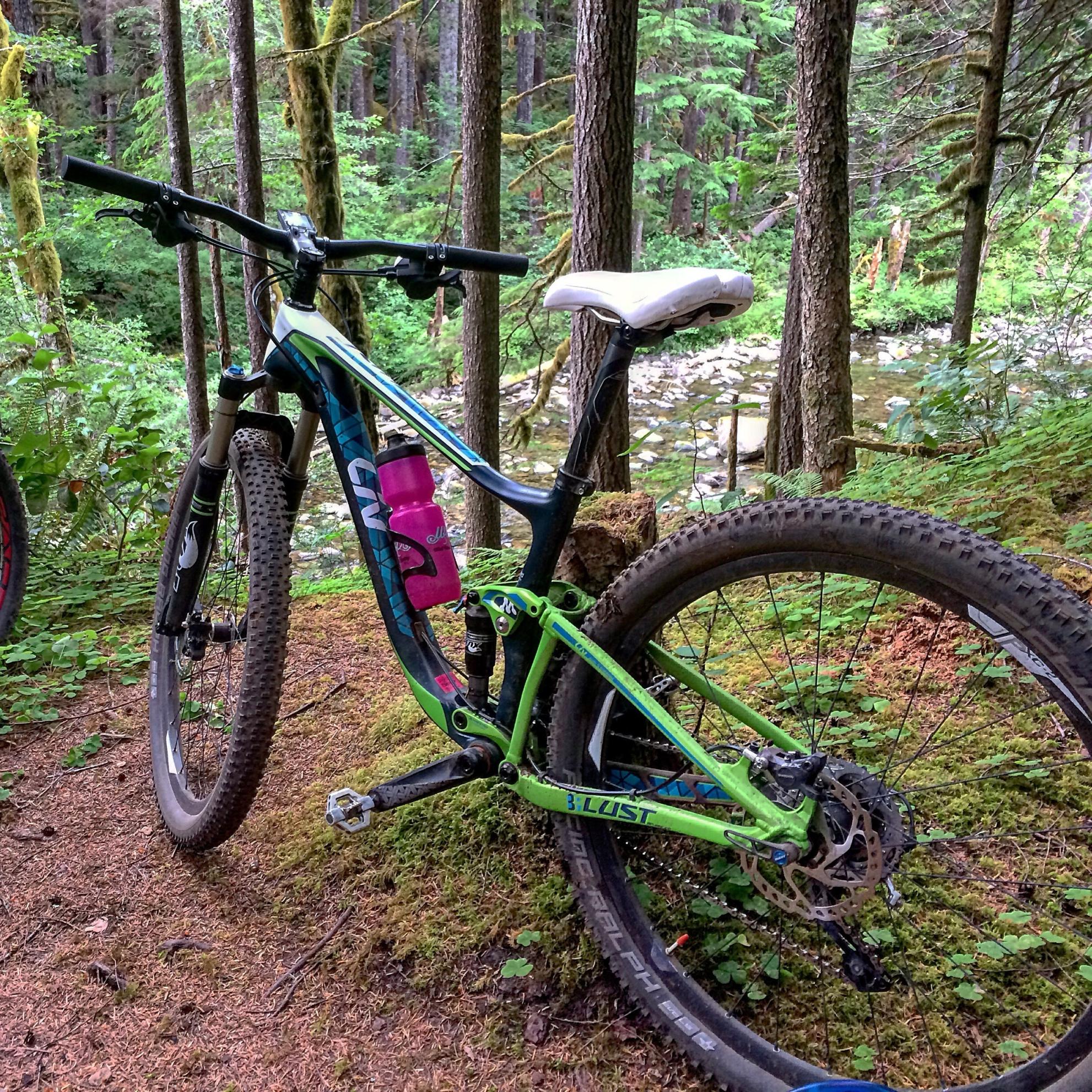 2015 Giant Lust Advanced 2 Teal and Green