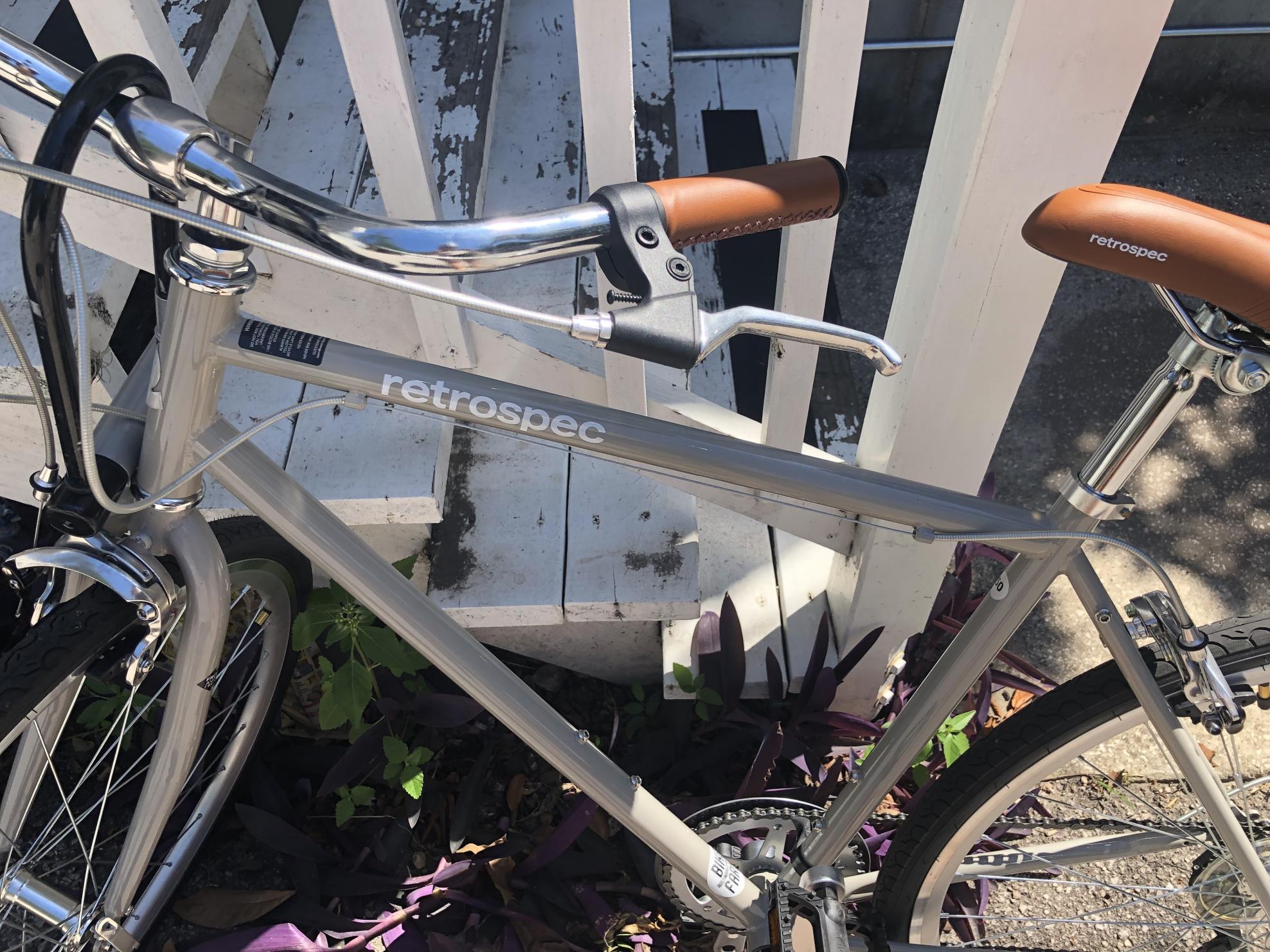 Retrospec Silver, gray or bare metal