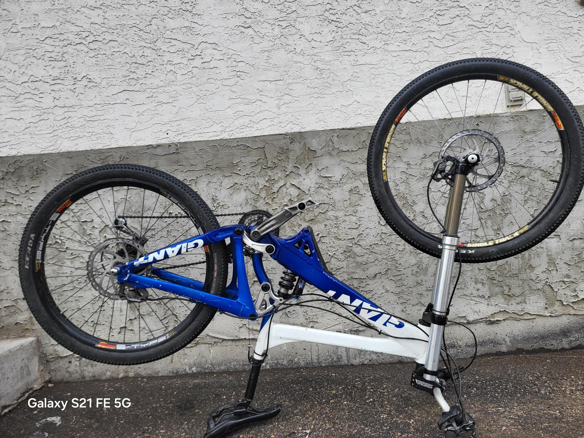 2009 Giant Glory DH Blue and White