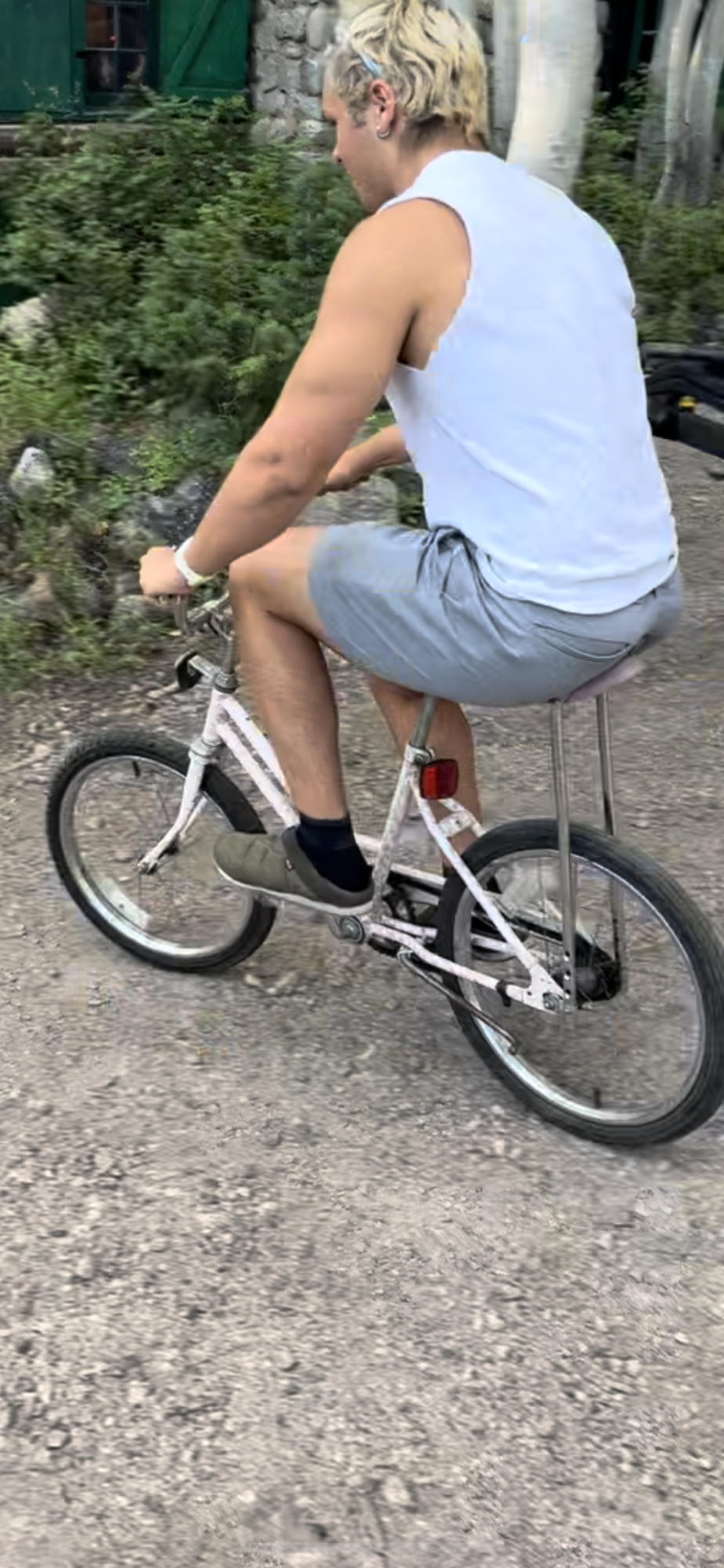 1990 Other Banana seat Pink