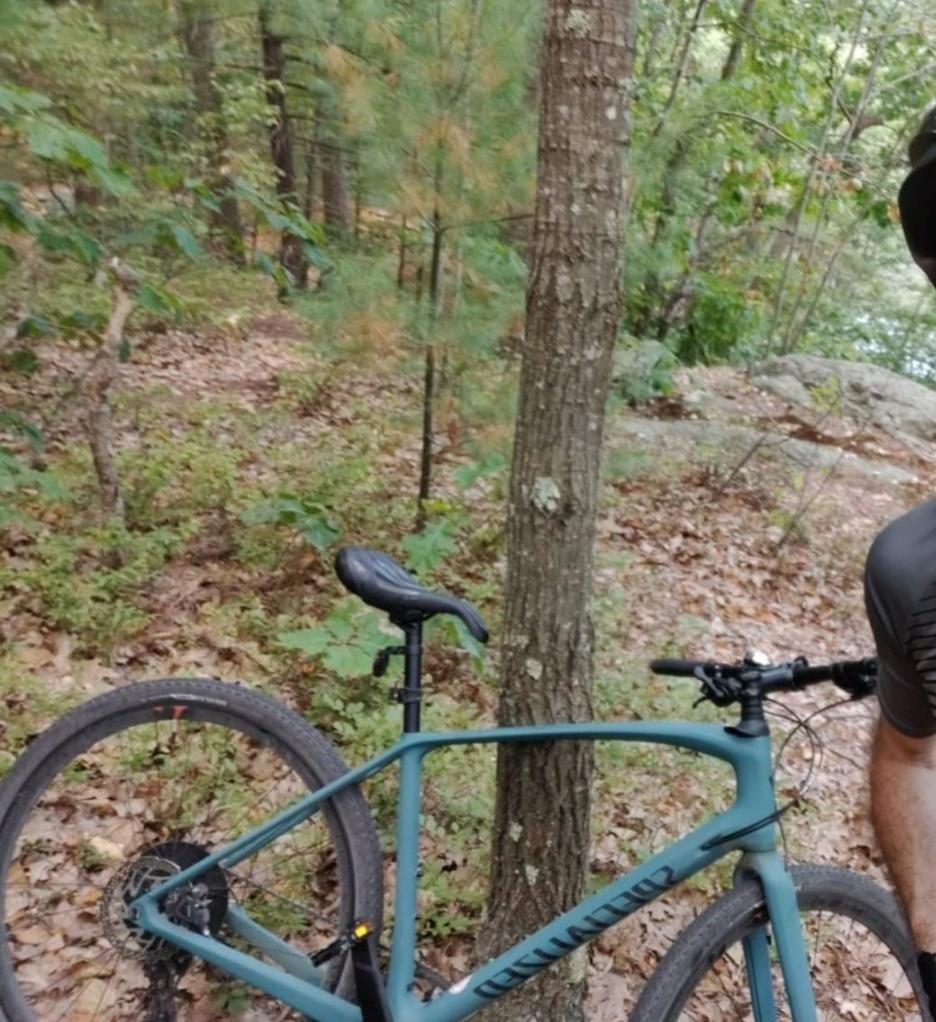 2019 Specialized Sirrus X comp carbon Green