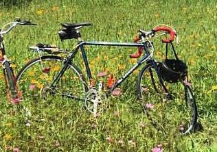 Schwinn Blue