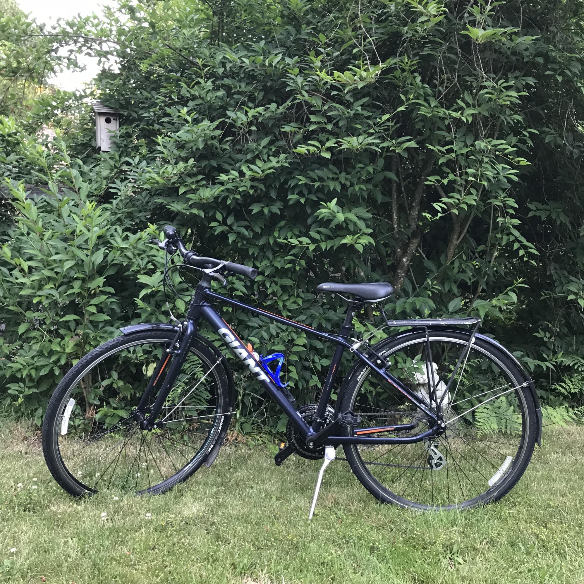 2014 Giant Defy 1 Black and Orange