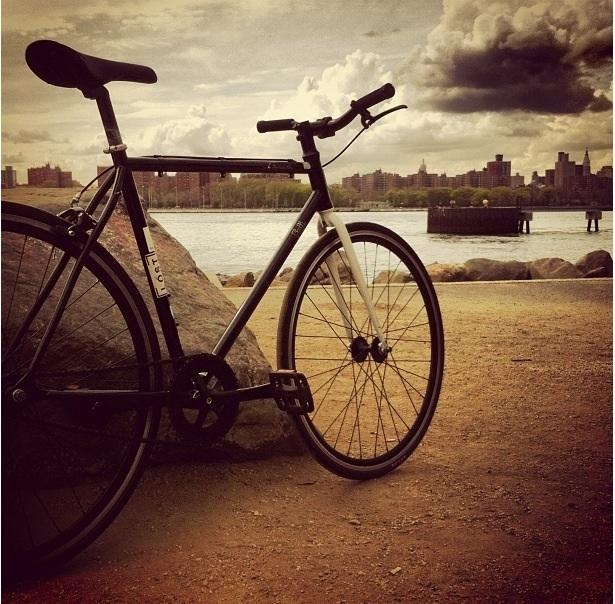 2012 Fuji Declaration  Black