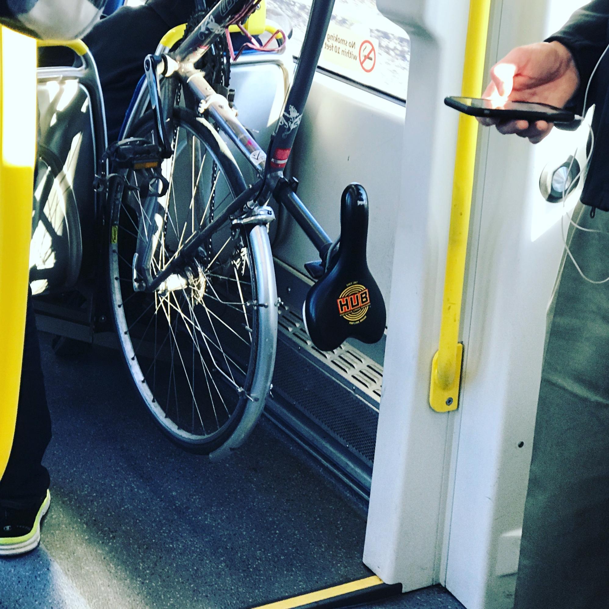 2008 Specialized Purple