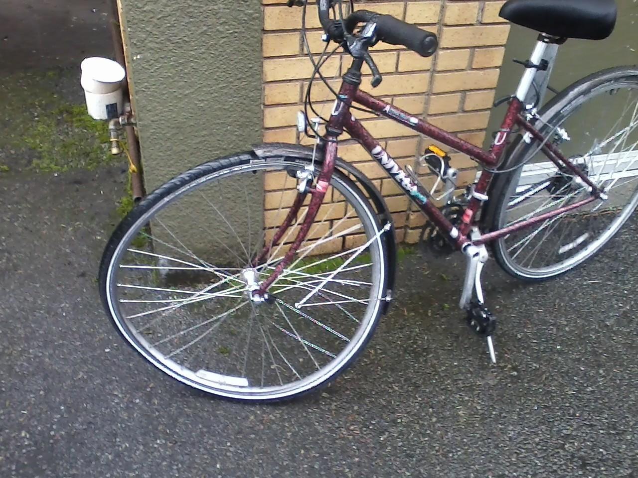 1992 Univega Chromoly  Red and Black