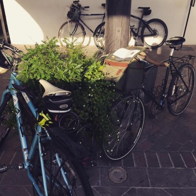 2008 Trek 7.2 FX WSD Blue